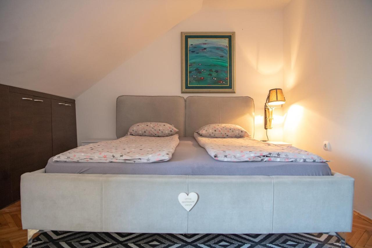 Apartament Marina Penthouse Nowy Sad Zewnętrze zdjęcie