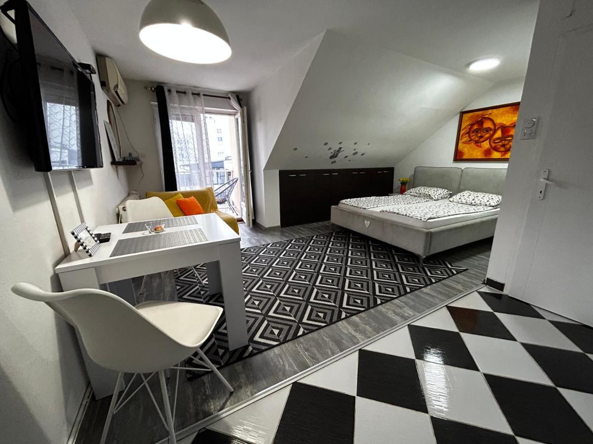 Apartament Marina Penthouse Nowy Sad Zewnętrze zdjęcie